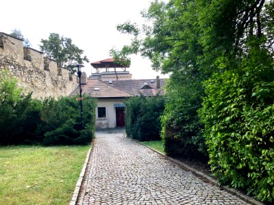 Petřín, Praha, Hlavní město Praha, Česká Republika 