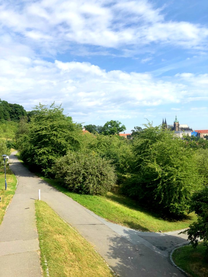 Petřín, Praha, Hlavní město Praha, Česká Republika 