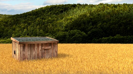 Lonely hut purple juice graphics