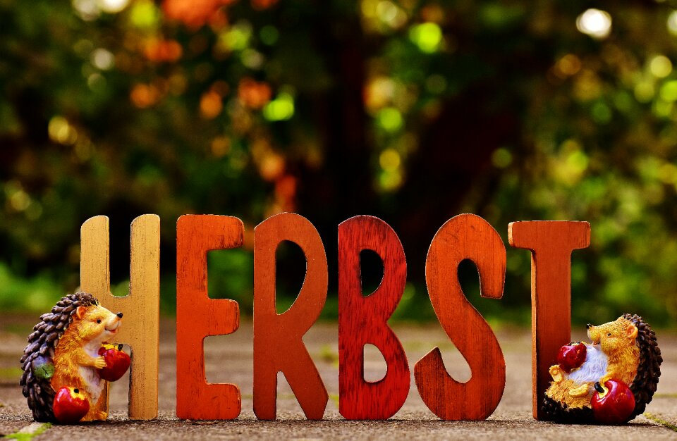 Season font lettering