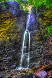 Travel forest natural
