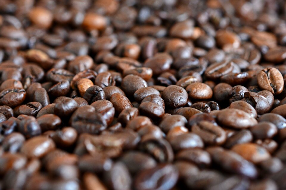 Roasted cafe brown