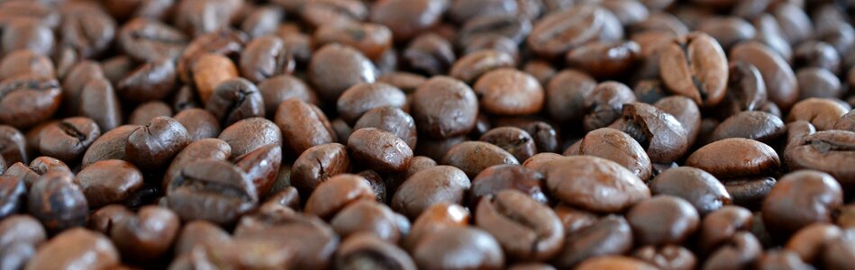 Roasted banner header