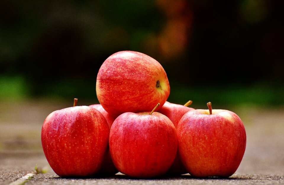 Fruit ripe red apple