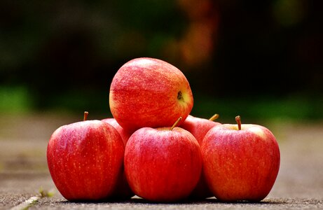 Fruit ripe red apple