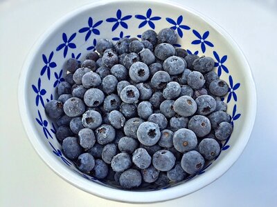 Frozen berry food photo