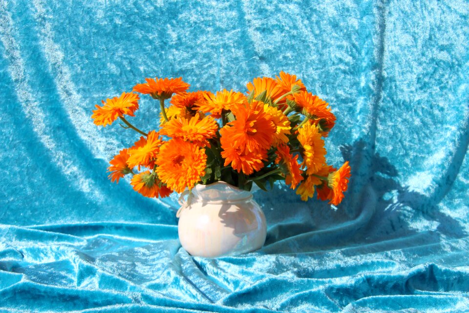 Colorful vase orange photo