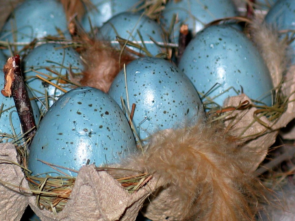 Easter egg spring decoration photo