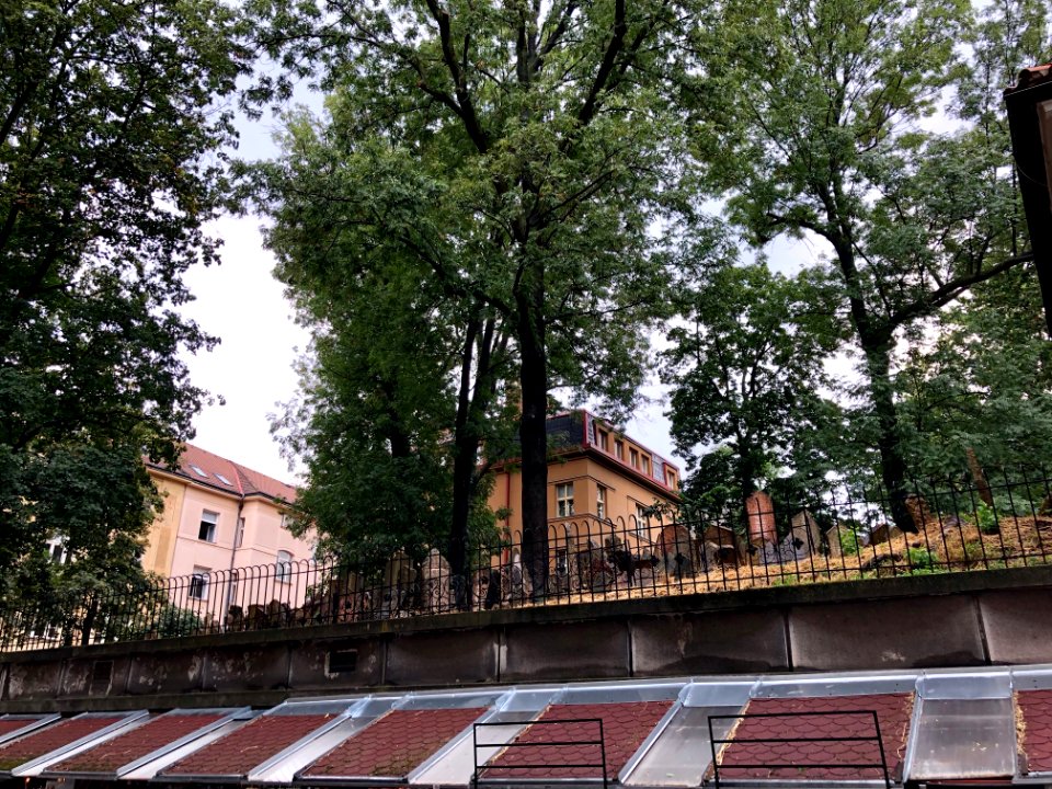 Starý Židovský Hřbitov, Josefov, Praha, Hlavní Město Praha… 