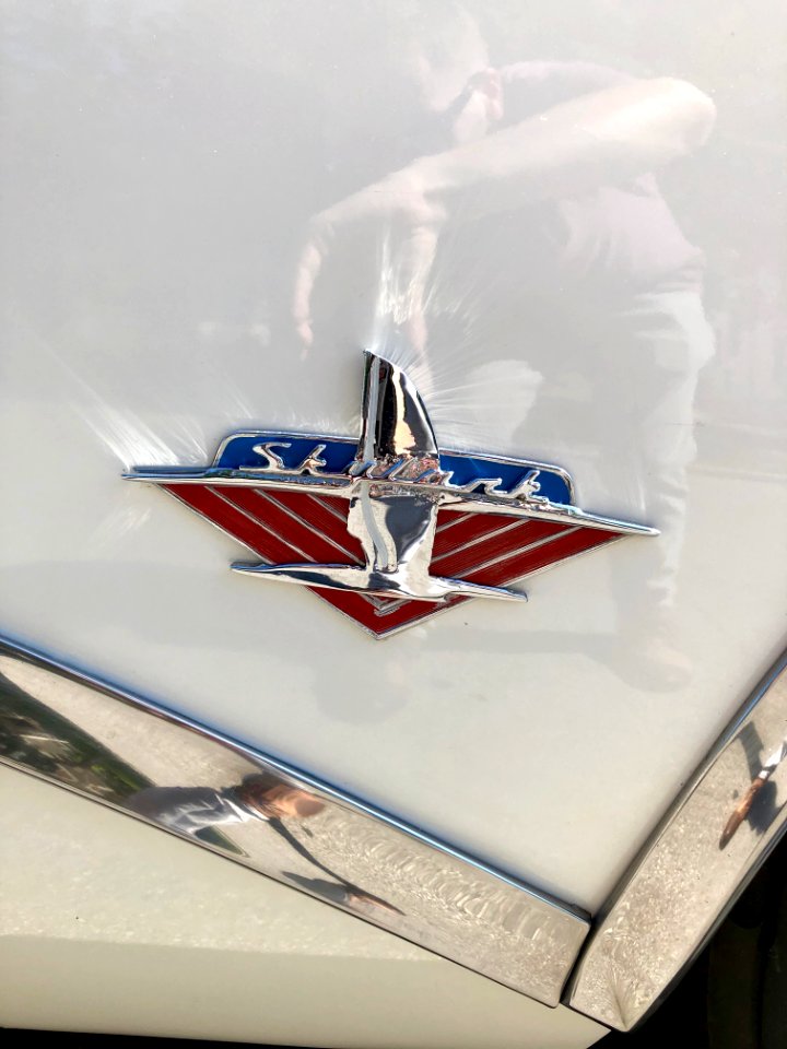 1954 Buick Skylark, North Avondale, Cincinnati, OH 