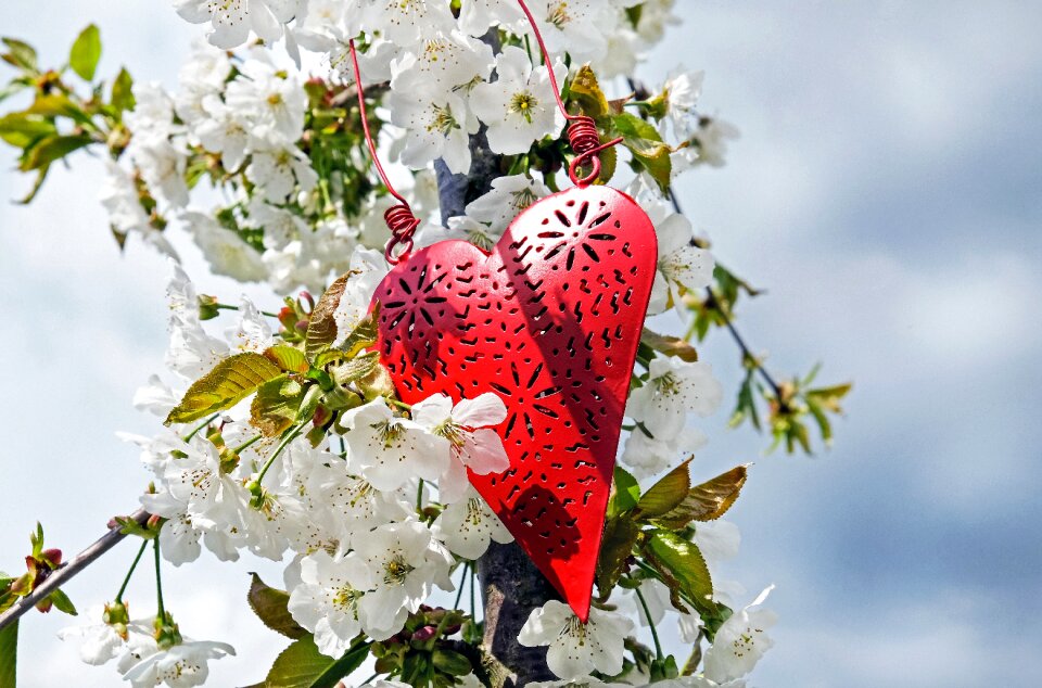 Luck relationship romance