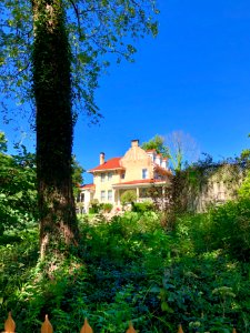 Marion Avenue, North Avondale, Cincinnati, OH 