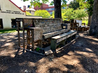 Senior Bench, North Carolina School of Science and Mathema… photo