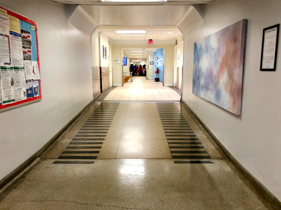 1st Floor Hallway, Bryan Hall, North Carolina School of Sc… 