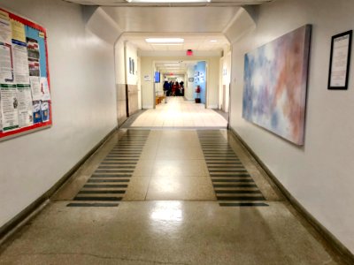 1st Floor Hallway, Bryan Hall, North Carolina School of Sc… 