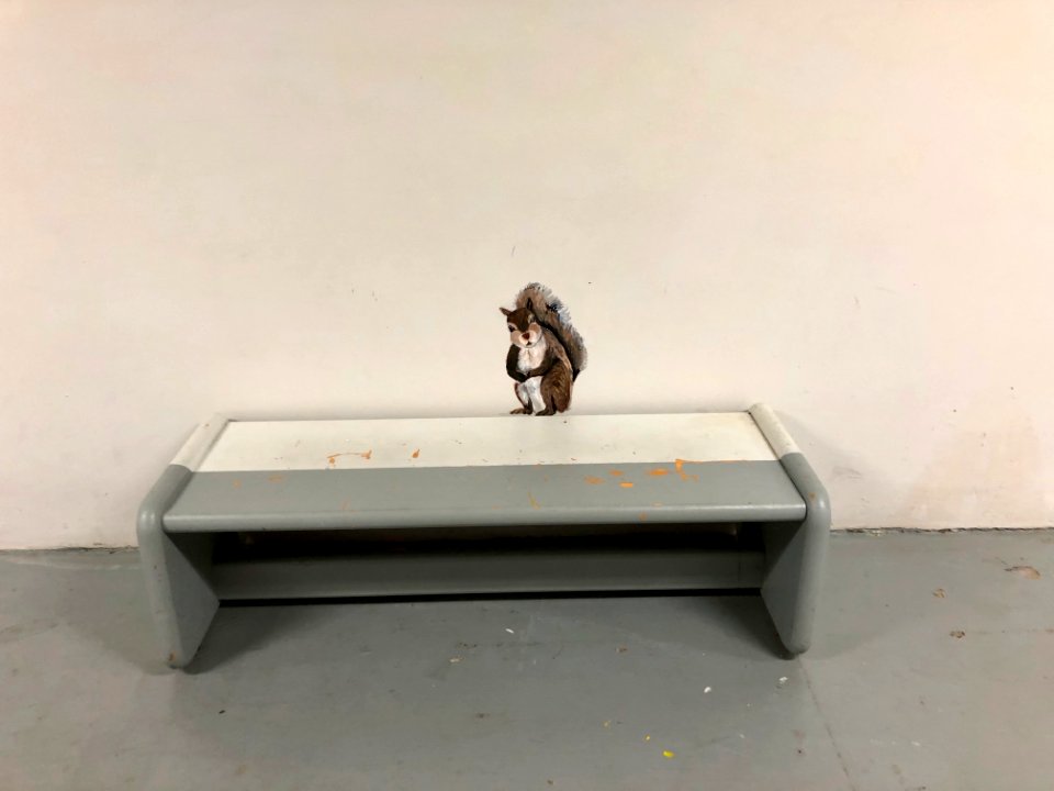 Squirrel Mural, Basement Passageway, Watts Hall, North Car… 