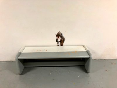 Squirrel Mural, Basement Passageway, Watts Hall, North Car… 