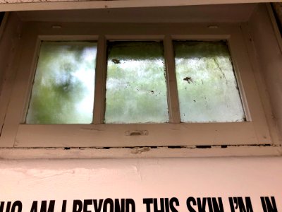 Window, Basement Passageway, Watts Hall, North Carolina Sc… 