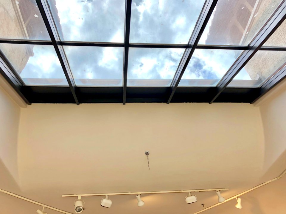 Art Room Ceiling, Watts Hall, North Carolina School of Sci… 