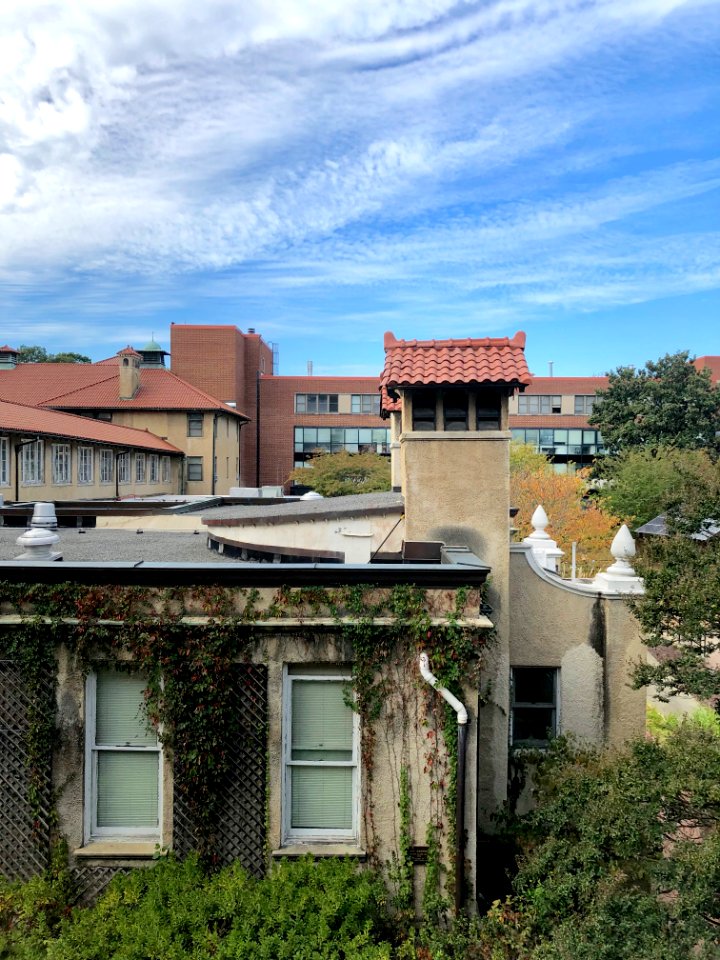 Art Wing, Watts Hall, North Carolina School of Science and… 