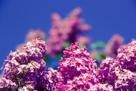 Nature spring health