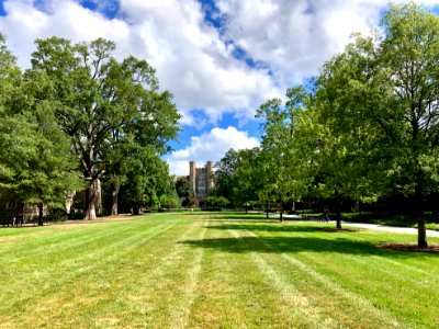 Perkins Quad, West Campus, Duke University, Durham, NC 