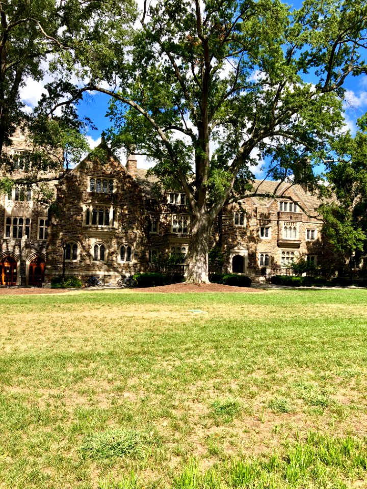 Perkins Library, West Campus, Duke University, Durham, NC 