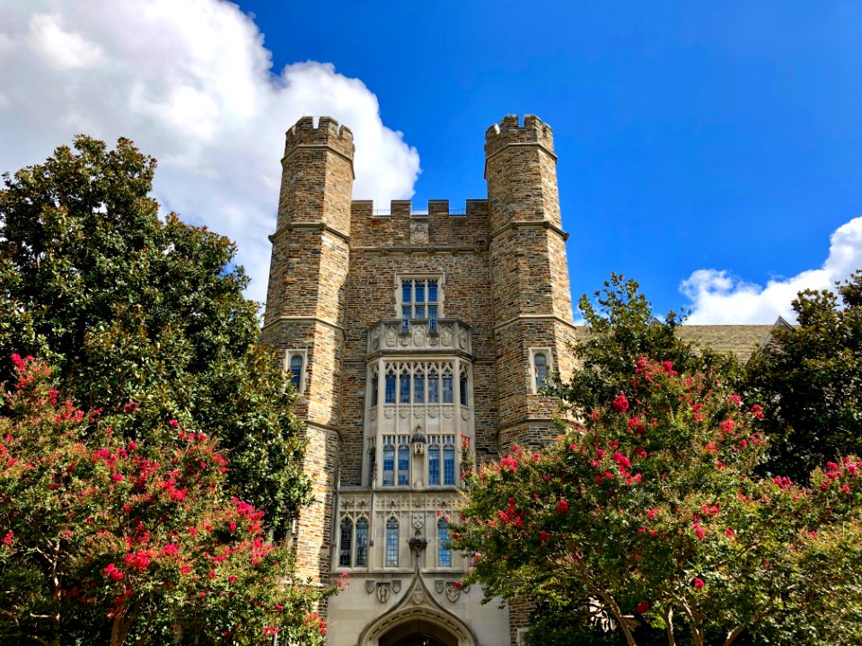 Davidson Building, West Campus, Duke University, Durham, N… 