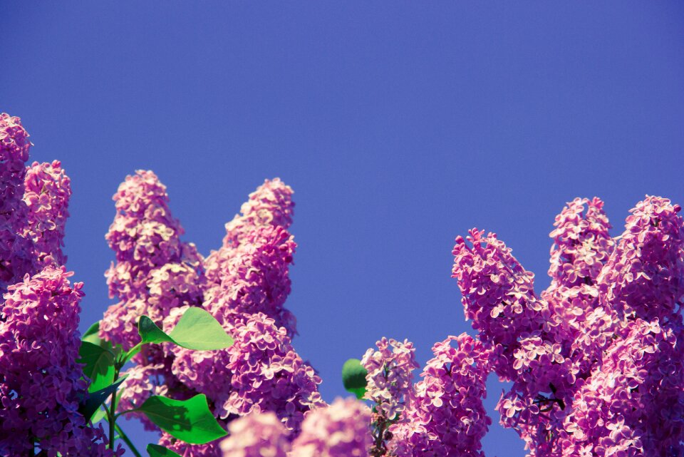 Nature spring health