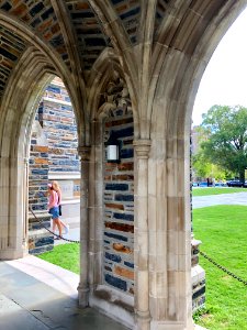 Cloister, Duke Chapel, West Campus, Duke University, Durha… 