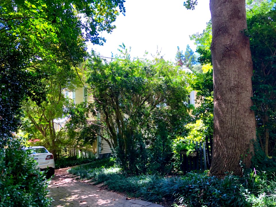 Margaret Lane, Hillsborough, NC 