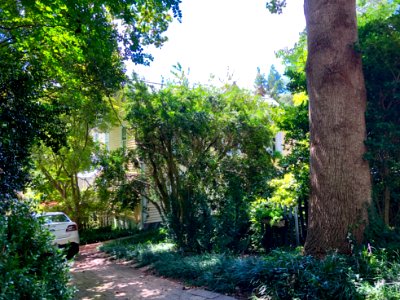 Margaret Lane, Hillsborough, NC 
