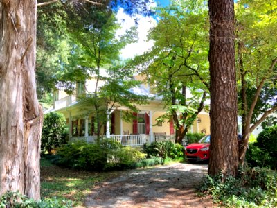 Margaret Lane, Hillsborough, NC 