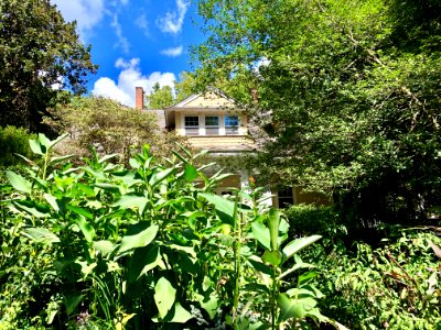 Tryon Street, Hillsborough, NC 