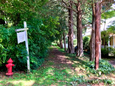 Old Cedar Lane, Hillsborough, NC 