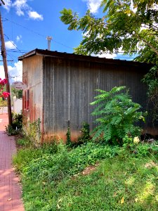 Margaret Lane, Hillsborough, NC 