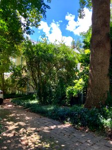 Margaret Lane, Hillsborough, NC 