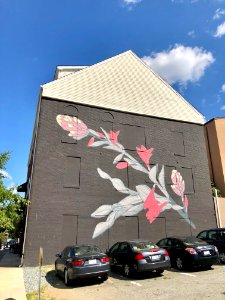 Flower Mural, Greensboro, NC 