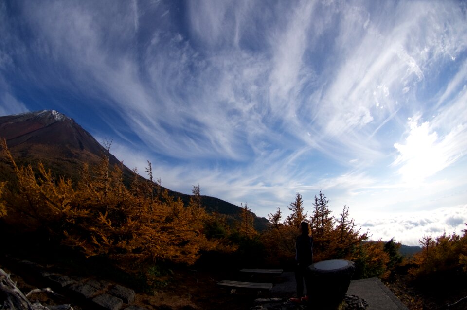 Autumnal leaves japan sky