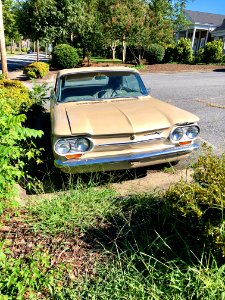 Chevrolet Corvair, Morganton, NC photo