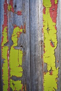 Wood wooden door photo