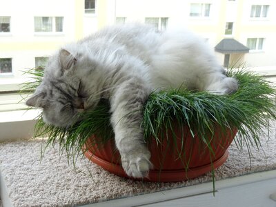Cute rest feel good