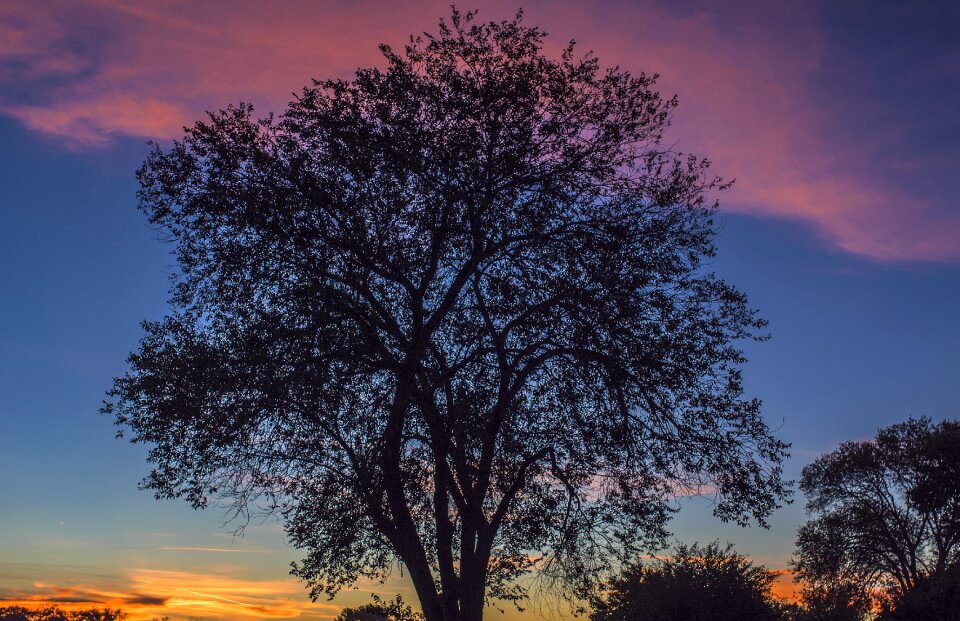 Sunrise landscape sunlight