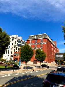 W. F. Smith and Sons Leaf House and Brown Brothers Company… 