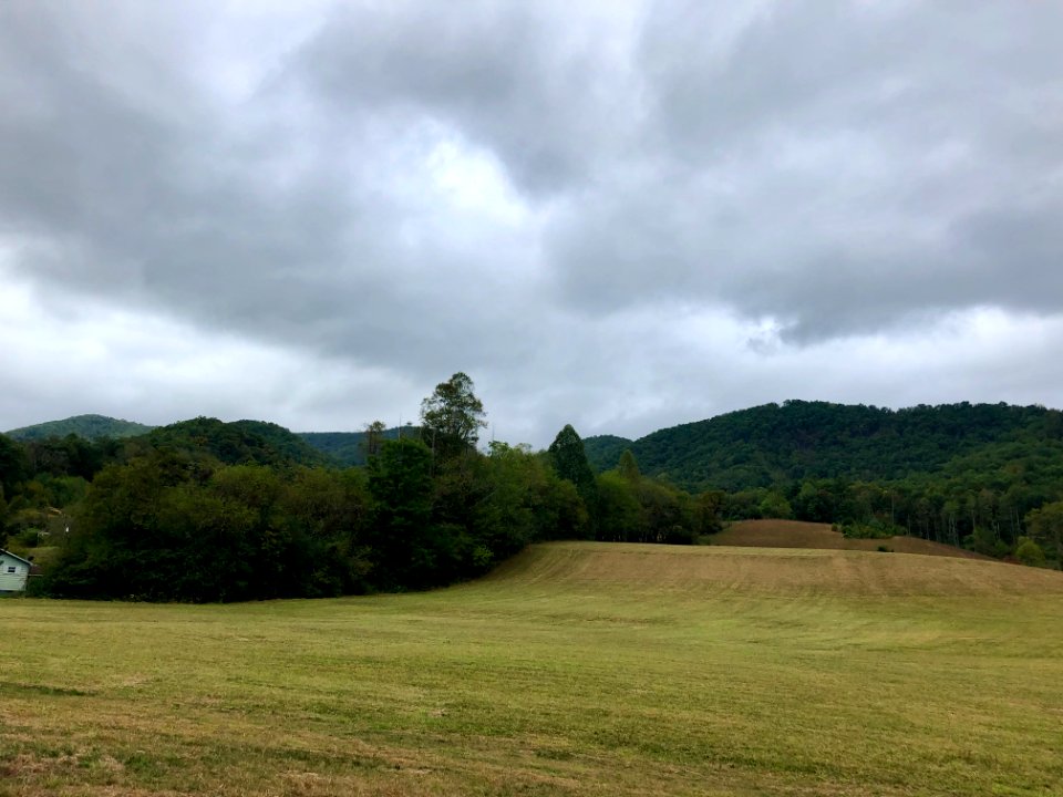 Bo Cove Road, Speedwell, NC 