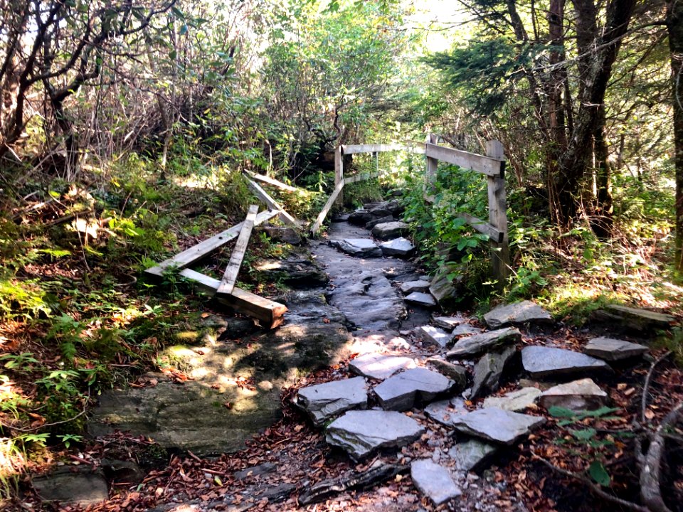 Dilapidated Access Trail, Devil's Courthouse, Balsam Grove… 