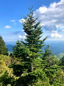 View from Devil's Courthouse, Balsam Grove, NC 