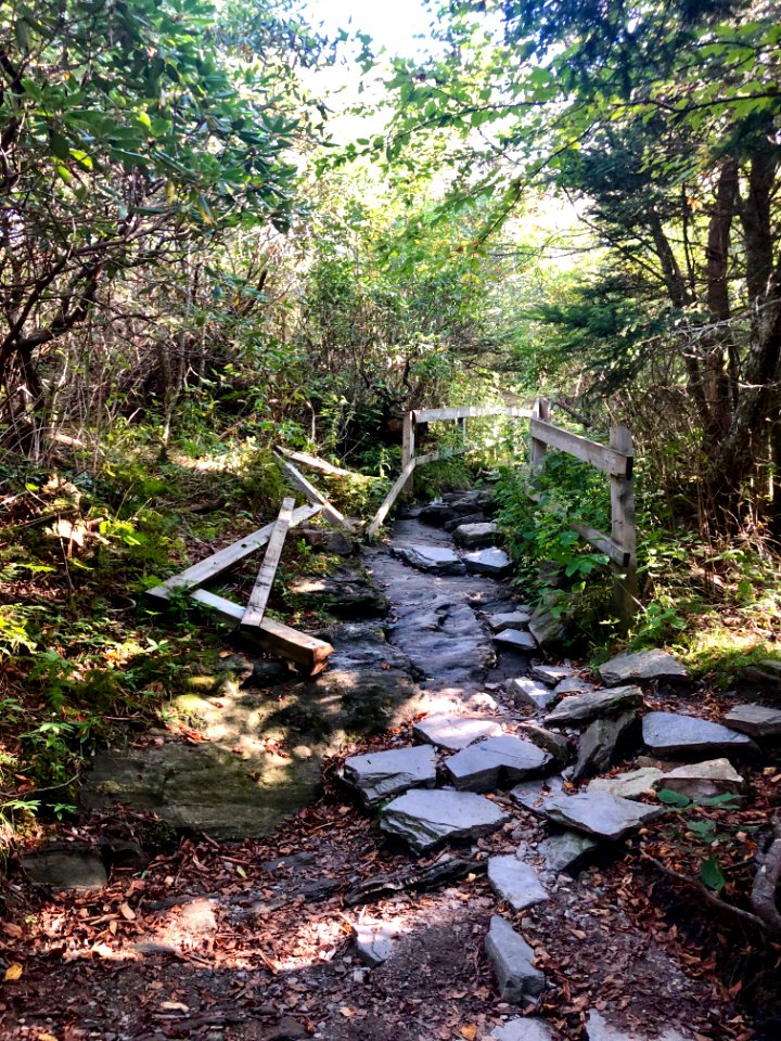 Dilapidated Access Trail, Devil's Courthouse, Balsam Grove… 
