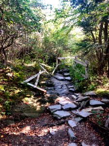 Dilapidated Access Trail, Devil's Courthouse, Balsam Grove… 