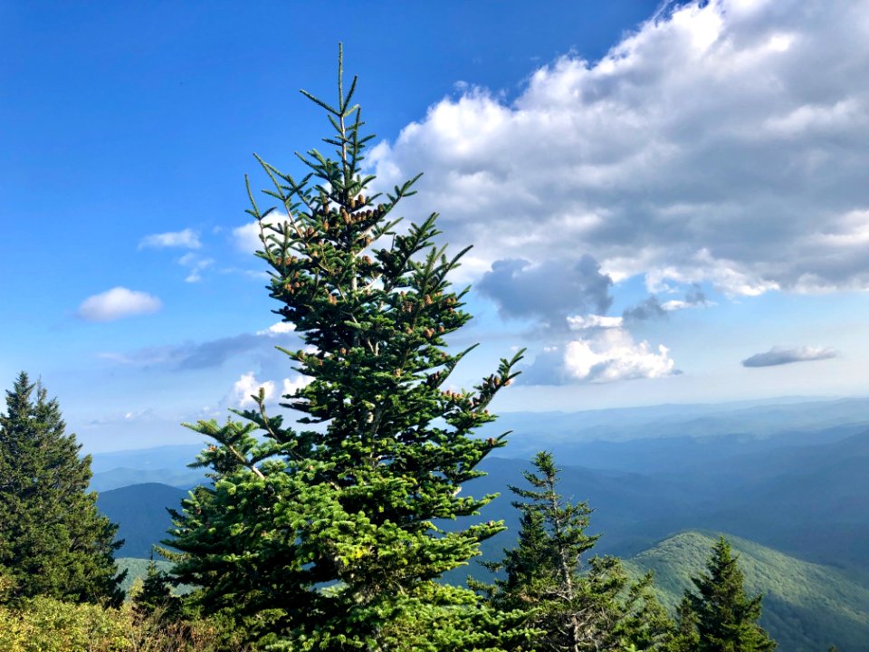 View from Devil's Courthouse, Balsam Grove, NC 